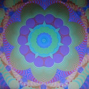 Meet your Posher, Posh